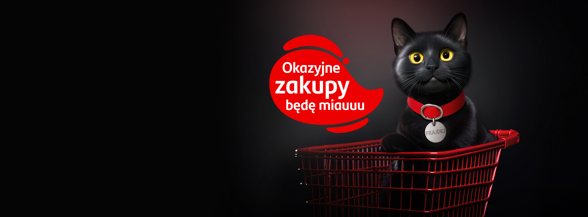 Raty w sklepie tradycyjnym Santander Consumer Bank