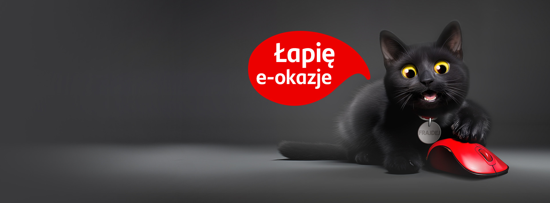 Raty w sklepie internetowym Santander Consumer Bank